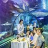 關島海底世界水族館晚餐