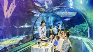 關島海底世界水族館晚餐